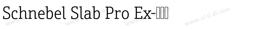 Schnebel Slab Pro Ex字体转换 Schnebel Slab Pro Ex字体转换